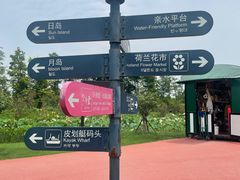 -荷兰花海