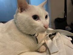 -Doors独立剧情密室(东门分店)