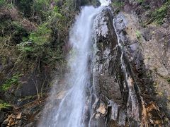 -姑婆山旅游区