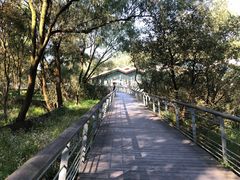 -西湖风景区-江洋畈生态公园