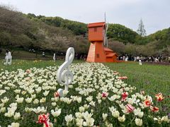 -苏州上方山国家森林公园