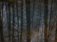 -山王坪喀斯特国家生态公园