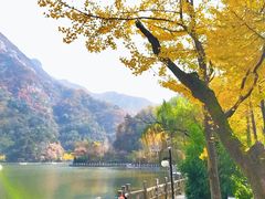 -秦岭终南山世界地质公园翠华山景区