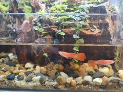 -弗劳尔花艺坊(龙涛店)