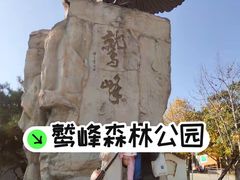 -北京鹫峰国家森林公园