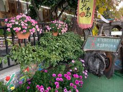 -丽江古城第一观景台