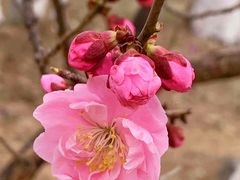 -鹫峰国家森林公园