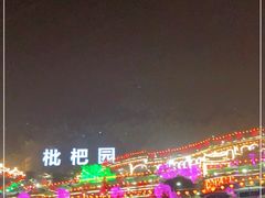 -枇杷园食为鲜火锅(南山店)