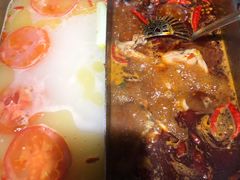 美蛙鸳鸯锅-重庆高老九火锅(文峰广场店)