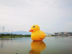 -琅岐红光湖公园