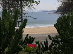 -大梅沙海滨公园