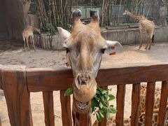 -长鹿旅游休博园