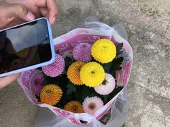 -三圣花乡旅游区