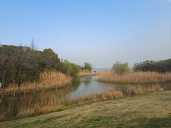 -上海吴淞炮台湾国家湿地公园