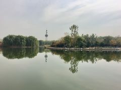 -大兴滨河森林公园