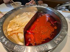 -朱氏胖子烂火锅(洪崖洞店)