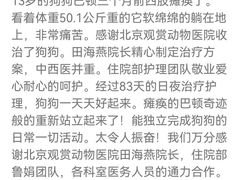 -北京观赏动物医院·24小时大型综合·猫专科·异宠专科