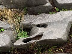 -原山国家森林公园