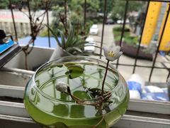 -蜀辣居鲜货老火锅(簇桥富顿中心店)