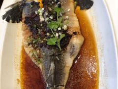 豆豉蒸鲟龙鱼-万龙洲海鲜(大兴绿地缤纷城店)