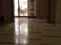 -肆兮眼镜·蔡司·徕卡战略合作店(大坪店)