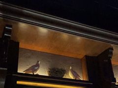 -骑士KTV(红谷滩万达店)