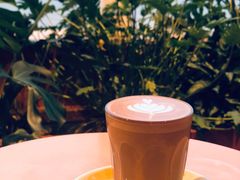 -Seesaw Coffee(朝阳大悦城店)