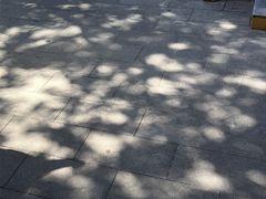 -会龙寺
