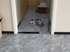 -芭比堂动物医院·CT·微创中心(新顺分院)