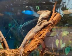 -Zoolung Zoolung动物主题公园(海信广场店)