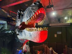 -恐龙探索乐园(磁器口店)