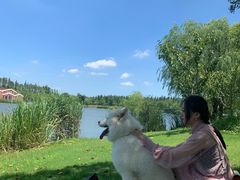 -上海长兴岛郊野公园