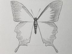 -八哥美术·成人美术画室(总校区)