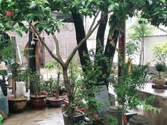-李东农庄(中南百草园地标店)