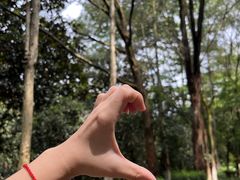 -番禺大夫山森林公园
