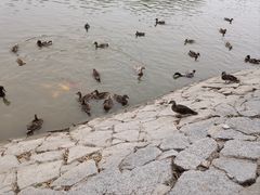 -中国农业博物馆