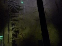 -汉景帝阳陵博物院