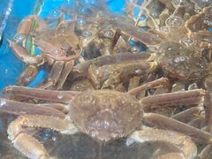 -徐记海鲜(阿波罗店)