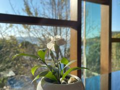 -逸廊大堂吧-下午茶·简餐-千岛湖自由洲际殿