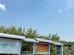 -东山风景区(洞庭东山)