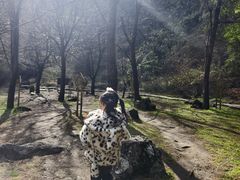 -苍山感通索道
