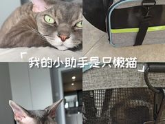 -美联众合动物医院·24h转诊中心