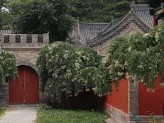 -晋祠公园