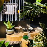 深圳探店｜森林中体验传统泰式spa💯分