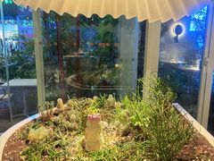 -春树下·树屋花房西餐厅(罍街AS1980店)