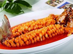 松鼠鱼-老字号怡玺·藿香雅鱼(20年雅安店)