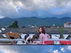 景观位-喵屿·大理花园猫咖