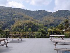 -广州市帽峰山景区