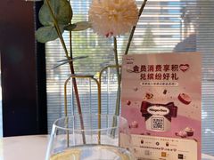 -哈根达斯(国瑞店)