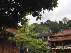 -都江堰普照寺